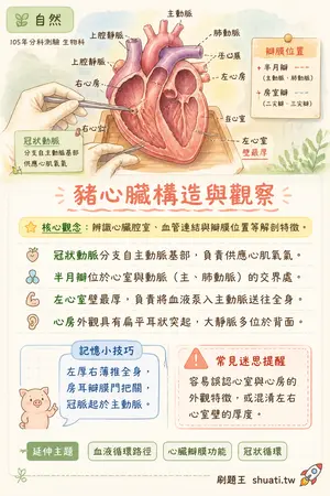 AI 記憶小卡