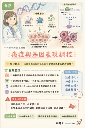 AI 記憶小卡