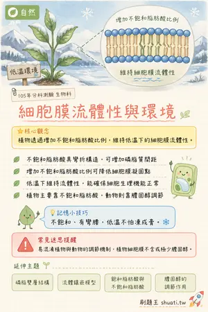 AI 記憶小卡