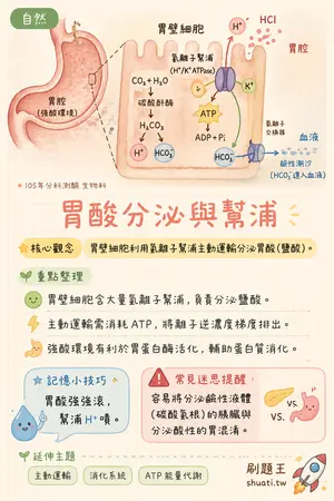 AI 記憶小卡