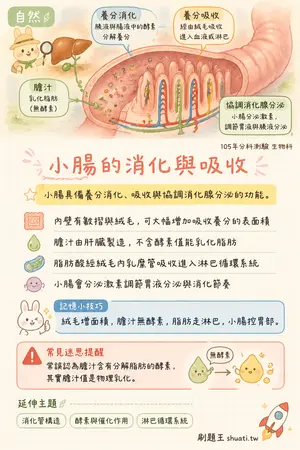 AI 記憶小卡