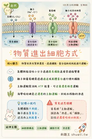 AI 記憶小卡
