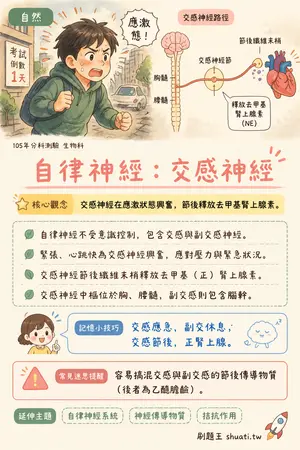 AI 記憶小卡
