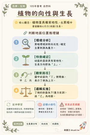 AI 記憶小卡