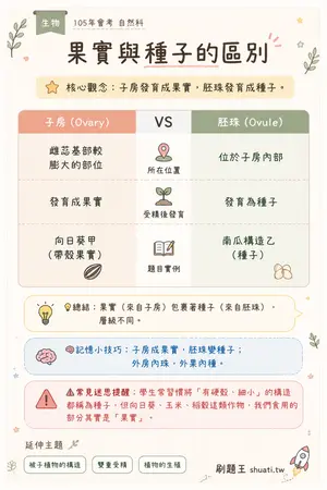 AI 記憶小卡