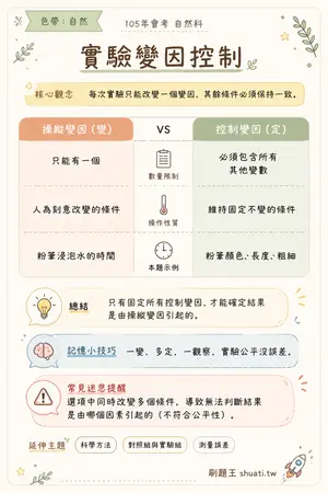 AI 記憶小卡