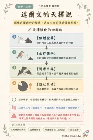 AI 記憶小卡