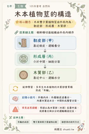 AI 記憶小卡