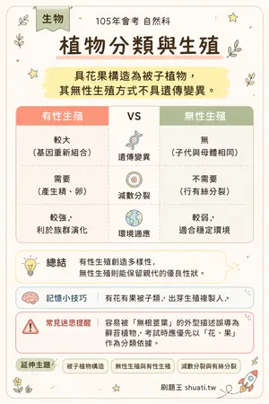 AI 記憶小卡