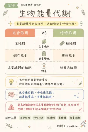 AI 記憶小卡