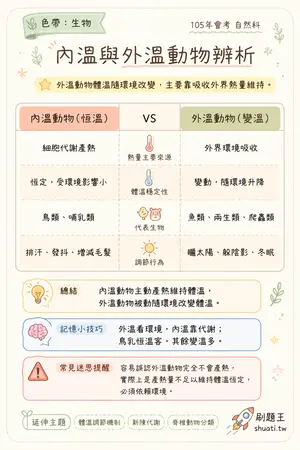 AI 記憶小卡