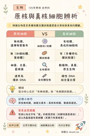 AI 記憶小卡
