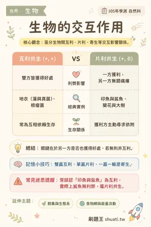 AI 記憶小卡