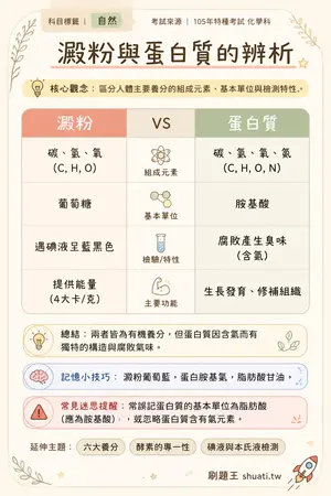 AI 記憶小卡
