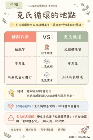 AI 記憶小卡