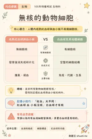 AI 記憶小卡