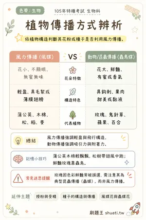 AI 記憶小卡