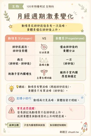 AI 記憶小卡