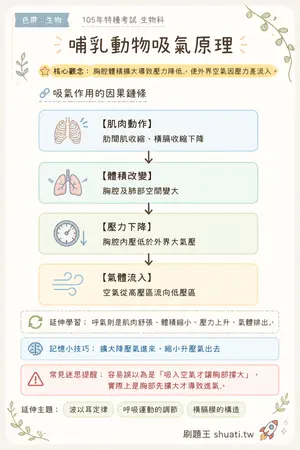 AI 記憶小卡