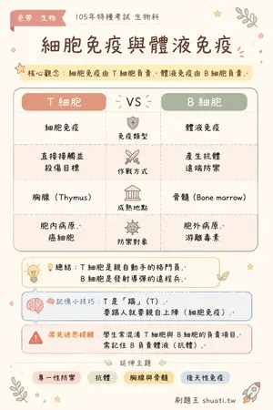 AI 記憶小卡