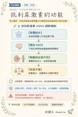 AI 記憶小卡