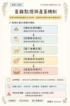 AI 記憶小卡