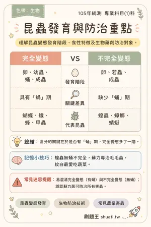 AI 記憶小卡