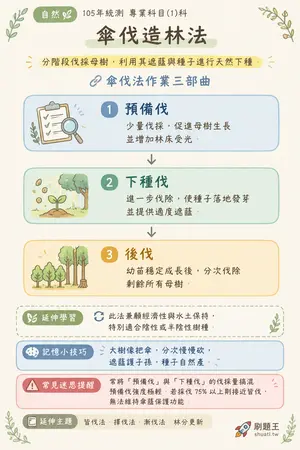 AI 記憶小卡