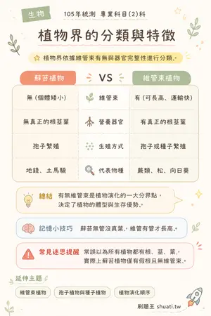 AI 記憶小卡