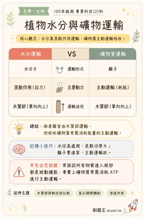 AI 記憶小卡