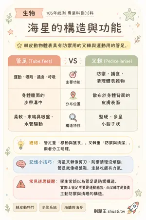 AI 記憶小卡