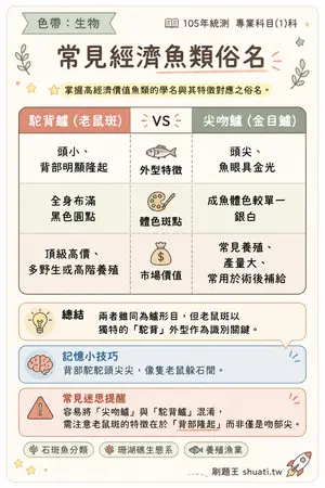 AI 記憶小卡