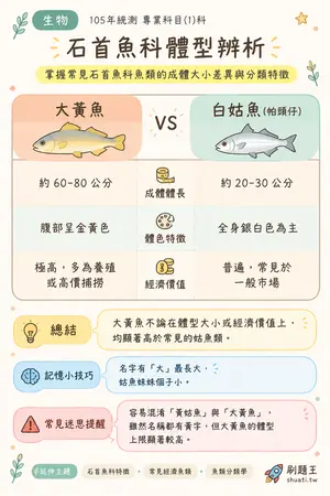 AI 記憶小卡