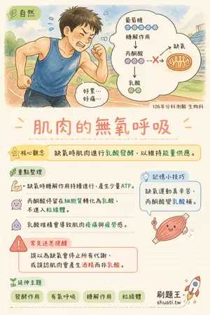 AI 記憶小卡