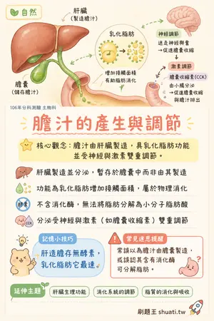 AI 記憶小卡