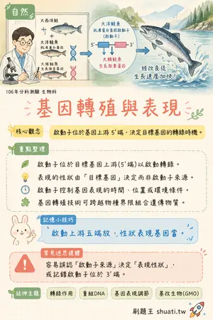 AI 記憶小卡