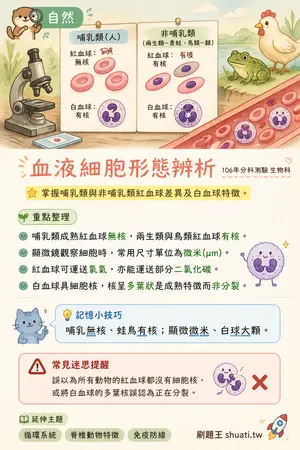 AI 記憶小卡