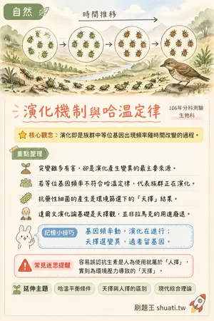 AI 記憶小卡