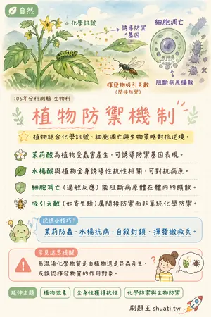 AI 記憶小卡