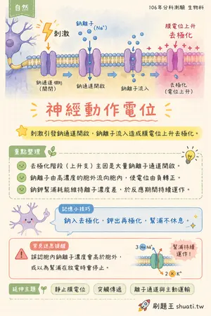 AI 記憶小卡