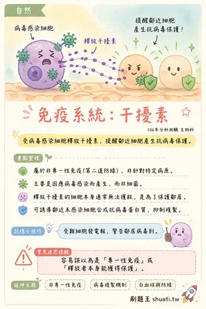 AI 記憶小卡