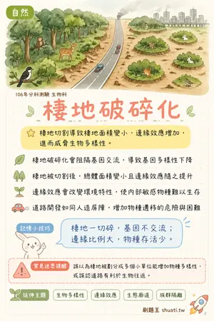 AI 記憶小卡