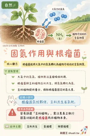 AI 記憶小卡