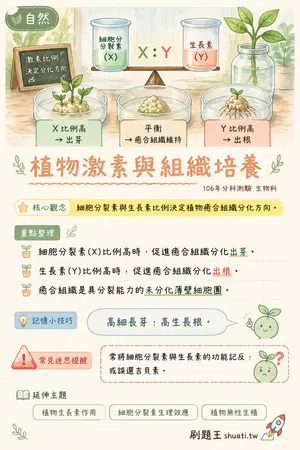 AI 記憶小卡