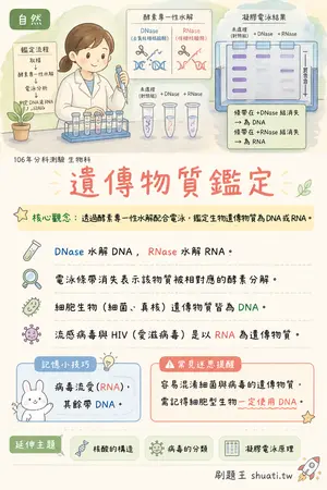 AI 記憶小卡