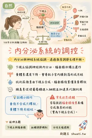 AI 記憶小卡