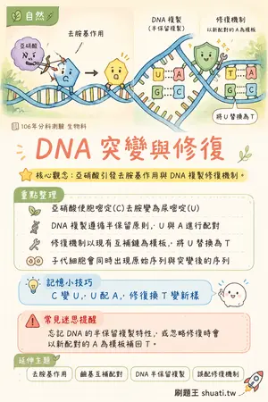 AI 記憶小卡