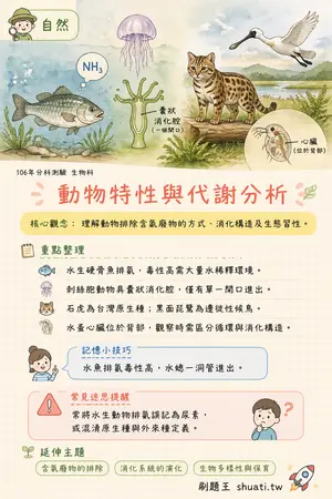 AI 記憶小卡