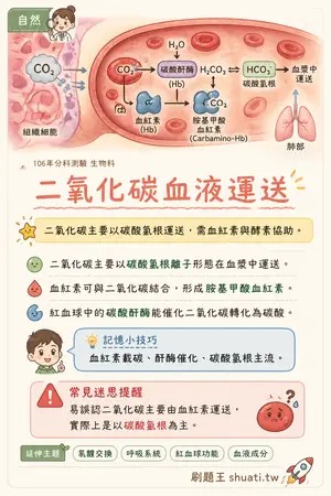 AI 記憶小卡