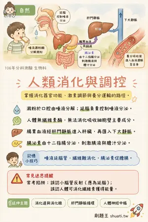AI 記憶小卡